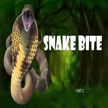 Snake bite                                       .