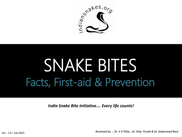 Snake Bite! - Firstaid, Facts & Pre...