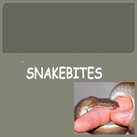 Snake bites