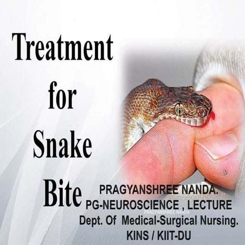 Snake bites