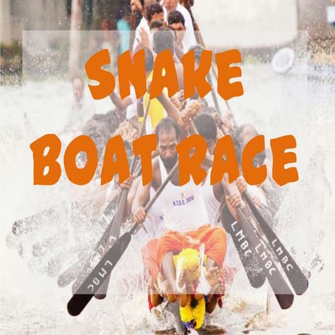 Snake Boat Race