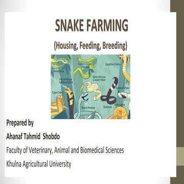 Picture of Snake farming | PDF