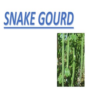 Teaching Presentations On Snake Growth Reference: Snakegourd 191128174140 Converted Ppt