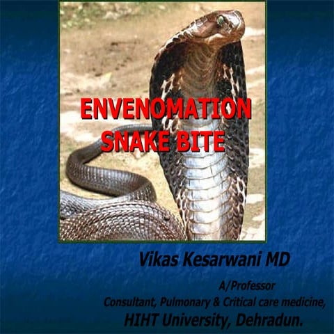 Snake Bite.ppt