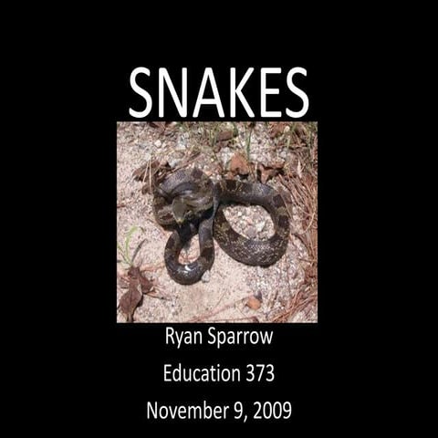 Snakes | PPTX | Reptiles | Pets