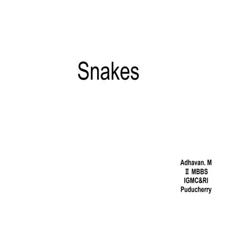 Snakes Toxicology