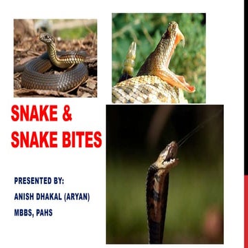 Details about snake bites their impact and remedies