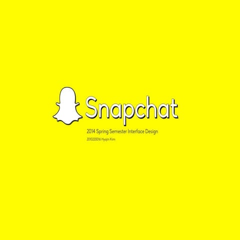 Snap chat Interface Analysis Report | PDF