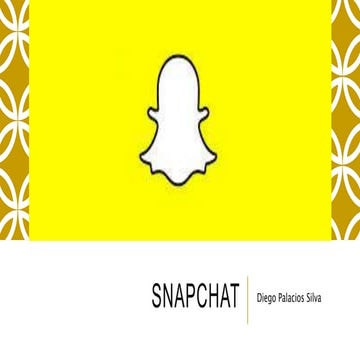 SnapChat | PDF