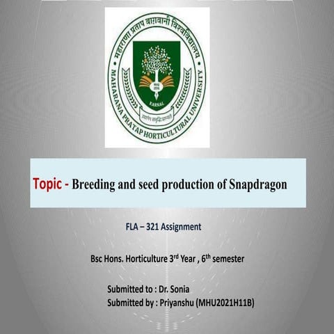 Breeding and Seed Production of Snapdragon ppt | PPTX