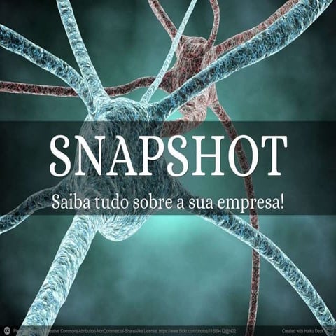 Snapshot organizacional