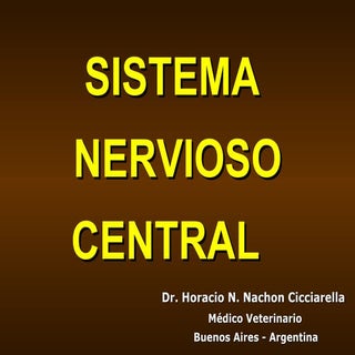 SISTEMA NERVIOSO CENTRAL