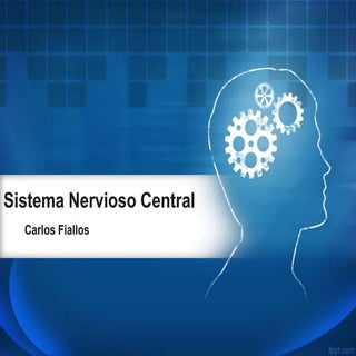 Sistema Nervioso Central