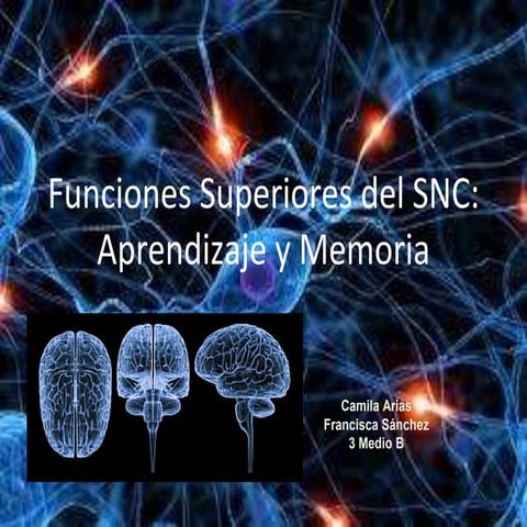 Aprendizaje y Memoria- FUNCIONES SUPERIORES DEL SNC.