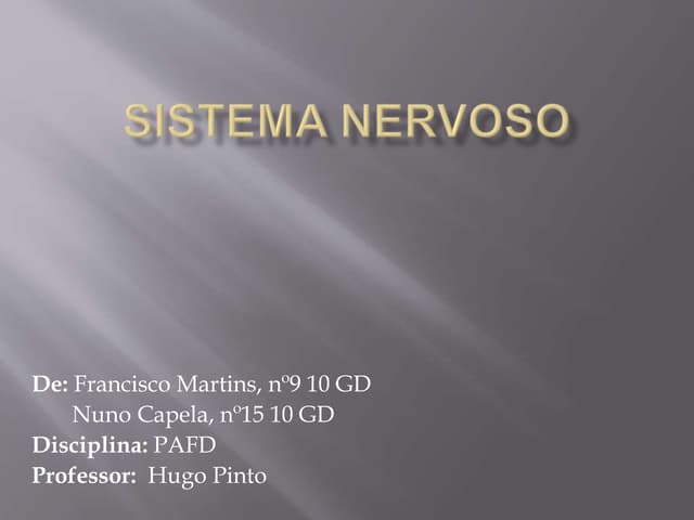 Sistema Nervoso Central