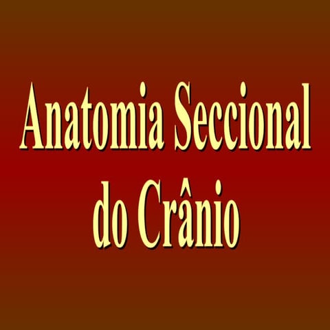 Snc   2º ano - 2012