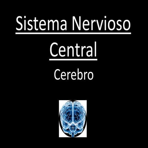 Snc Cerebro Mauricio Manera