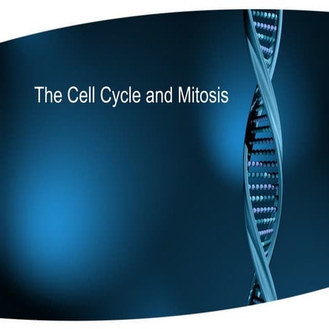 Comprehensive Overview of the Cell Cycle and Mitosis Processes | PPT