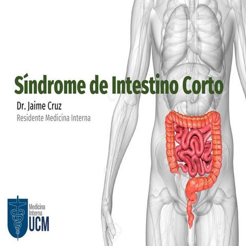 Síndrome de intestino corto (final)