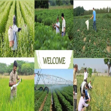 Pesticides use in Indian Agriculture : Consumption and Trade 