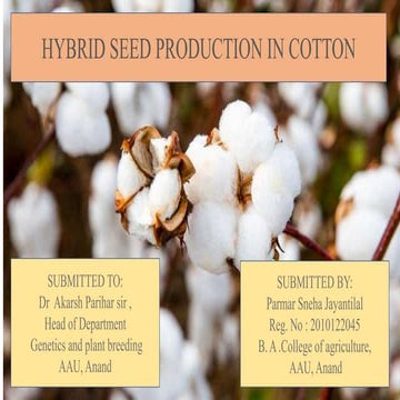 Cotton Floral biology and breeding techniques.pdf