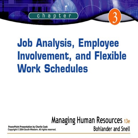 Snell job analysis design specificatio description enrichment(1)