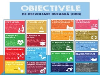 Biblioteca publică raională din Sângerei O șansă de angajare