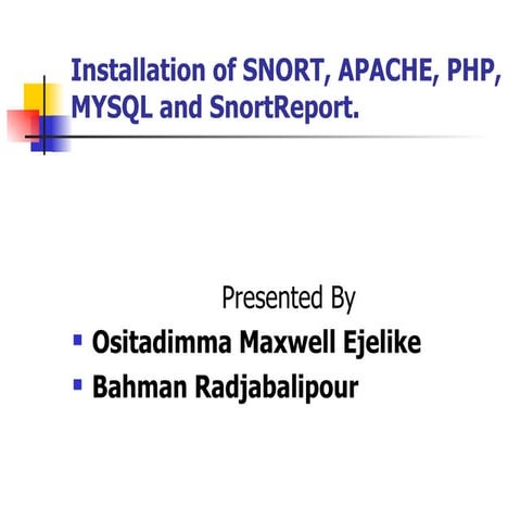 SnortReport Presentation