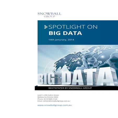 Snowball Group Whitepaper - Spotlight on Big Data