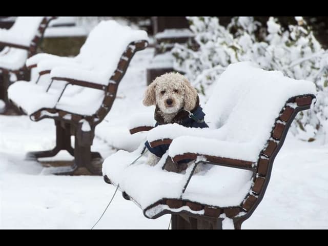 Snow in europe winter 2010-11