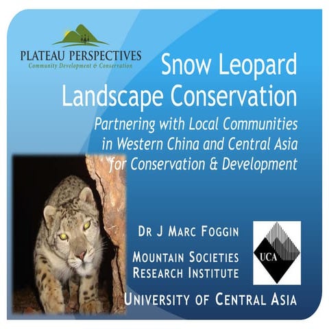 Snow Leopard Landscapes | PPTX