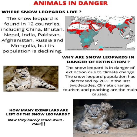 SNOW LEOPARDS  Izan y Jose .pdf