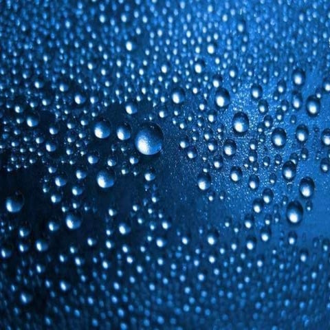 Snow white and the seven dwarfs