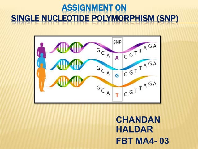 Single nucleotide polymorphism, (SNP) | PPT