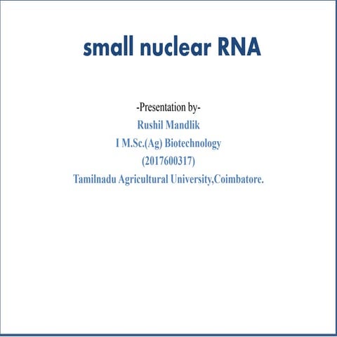 Small nuclear rna