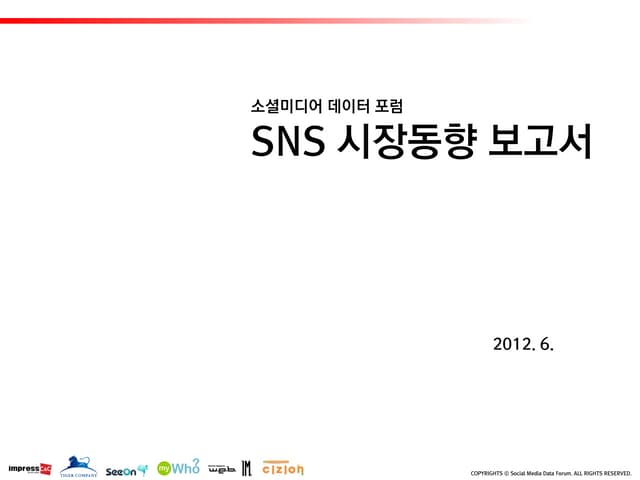 SNS시장동향보고서(소셜미디어데이터포럼)