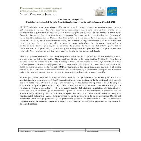 Síntesis del proyecto