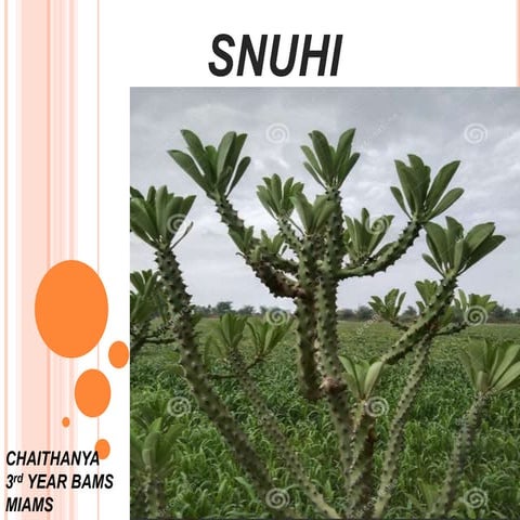 SNUHI ff.pptx