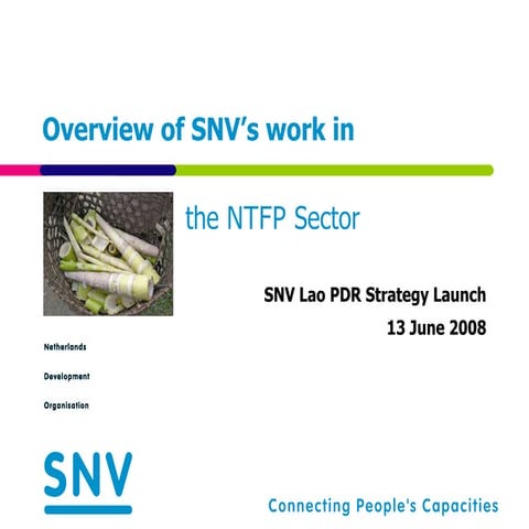 Snv Ntfp Strategy June 08 Final