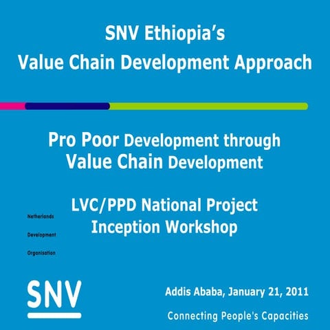 Snv value chain