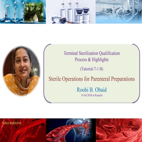SO (7 - 2 B) Terminal Sterlization Qualifications, Process & Highlights
