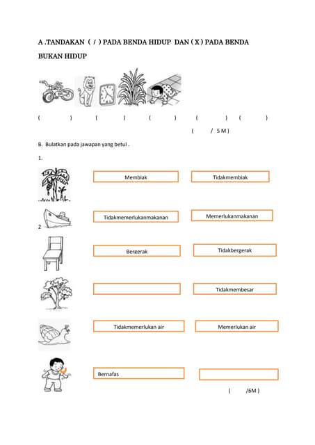 Negeri Sembilan UPSR Trial English Paper 1 2015