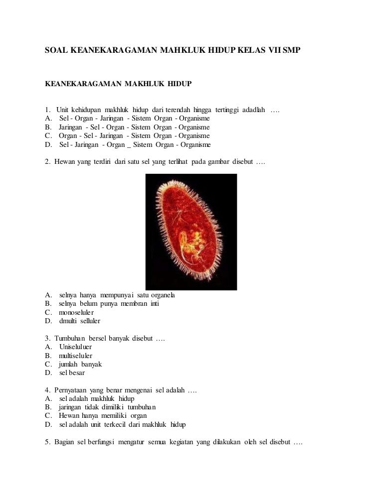 Soal Keanekaragaman Mahkluk Hidup Kelas Vii Smp