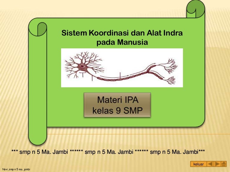 Soal Koordinasi Dan Alat Indra Pada Manusia