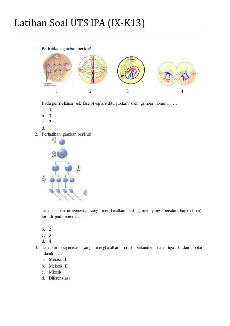 Soal Latihan Ipa Kelas Ix Kurikulum 2013