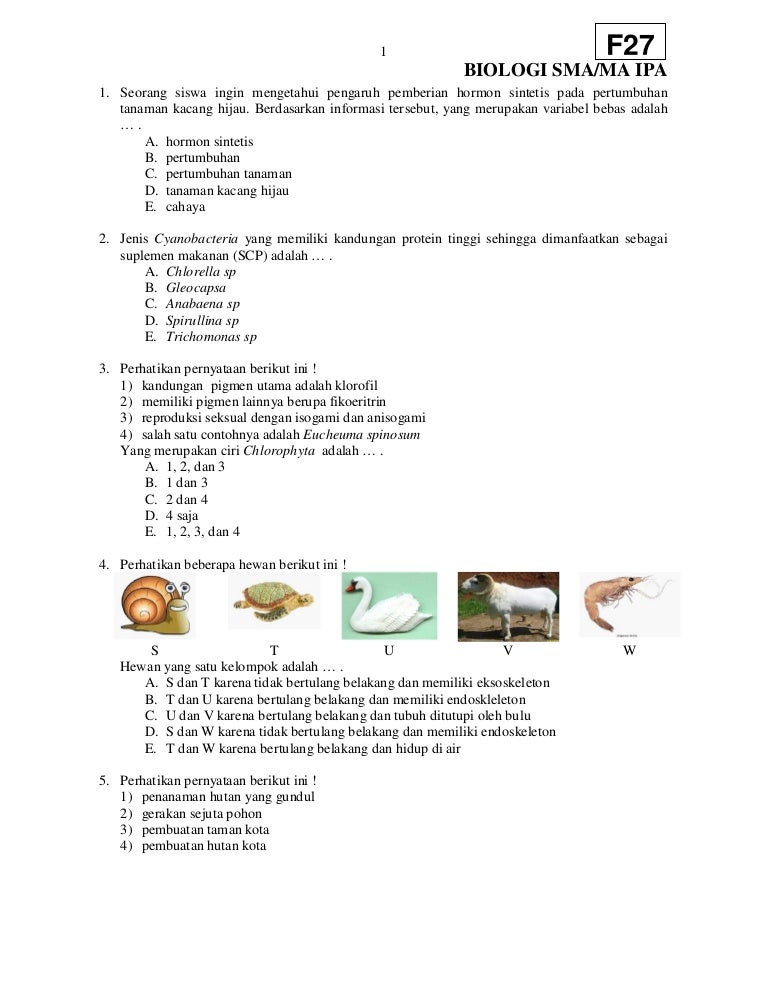 Soal sma biologi_f27 Soal sma biologi_f27