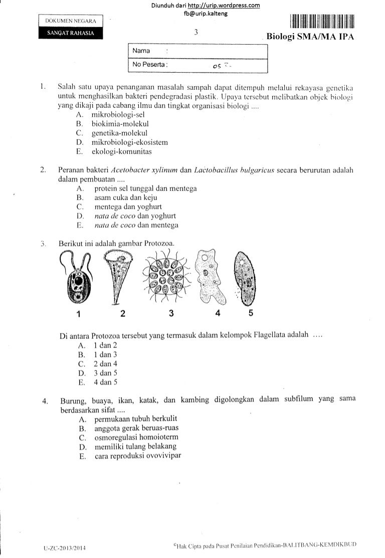 Soal un biologi ipa sma tahun 2014 15