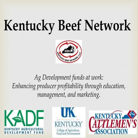Kentucky Beef Network