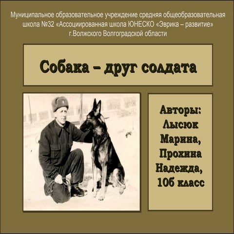 Sobaka  -drug_soldata_lysyuk_prokhina