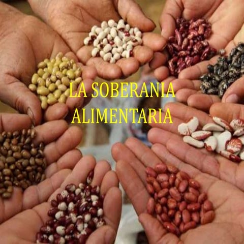Soberan aliment.biiopirat.nuevacult agua1ºbc